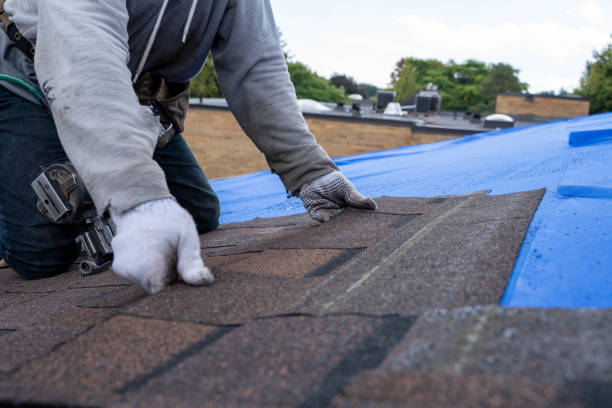Tile Roofing Contractor in Forest Lake, IL