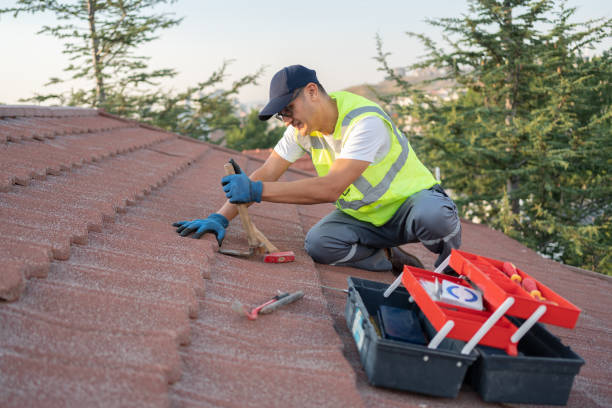 Best Storm Damage Roof Repair  in Forest Lake, IL