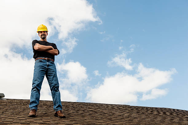 Best Roof Leak Repair  in Forest Lake, IL