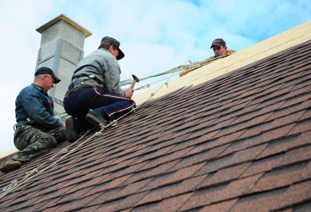 Best New Roof Installation  in Forest Lake, IL